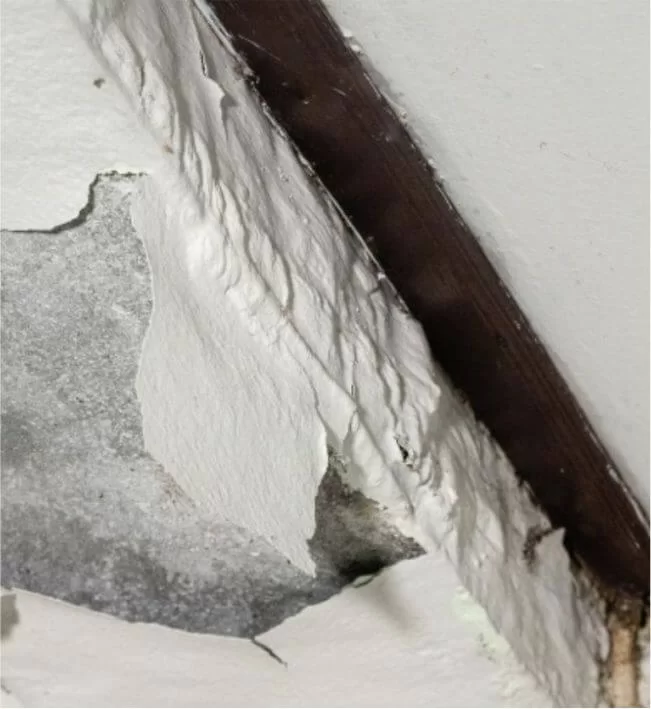 Dakdekker Amsterdam dak lekkage