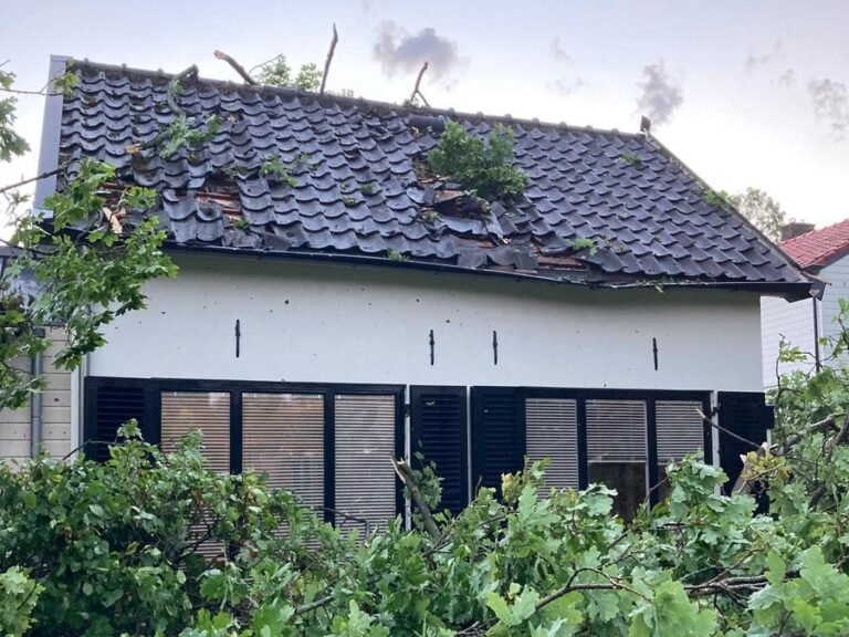 Wia dakbeheer verzekering daklekkage