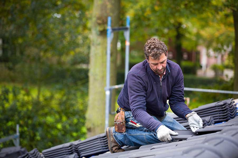 Wia dakbeheer boxtel